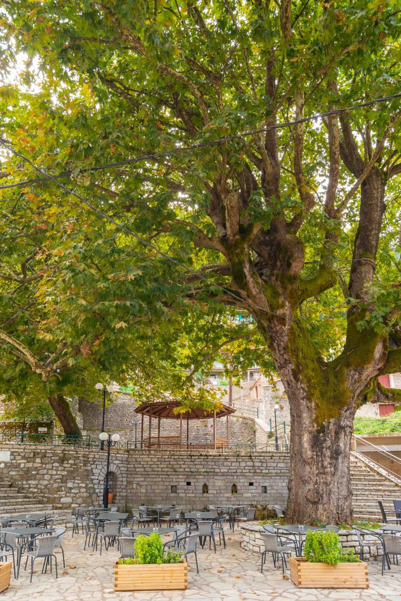 Готель Helidona Mikro Chorio  Екстер'єр фото
